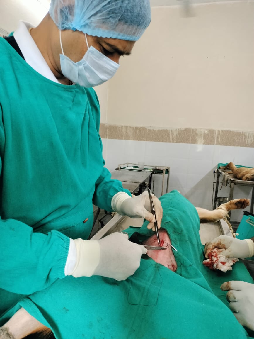 WhatsApp Image 2025-08-29 at 16.22.49.jpeg